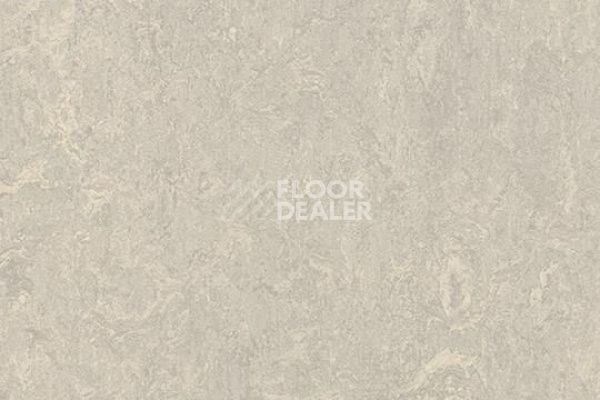 Виниловая плитка ПВХ Marmoleum Modular t3136 concrete фото 1 | FLOORDEALER